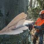 STIHL MS 661 C-M, RH, 71 cm – Modell 2025 - Image 5