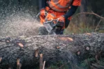 Husqvarna 592 XP® / 90 – X-Torq - Image 3